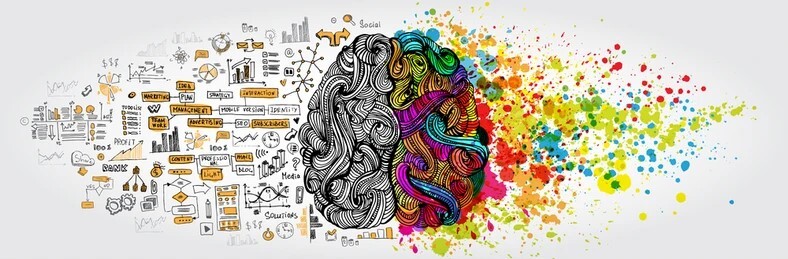 Illustration of a human brain divided into two halves, representing logic and creativity. The left side is filled with structured black-and-white sketches of charts, graphs, formulas, and business concepts, symbolizing analytical thinking. The right side is colorful, with swirling patterns and paint splashes, representing artistic expression, imagination, and creativity.